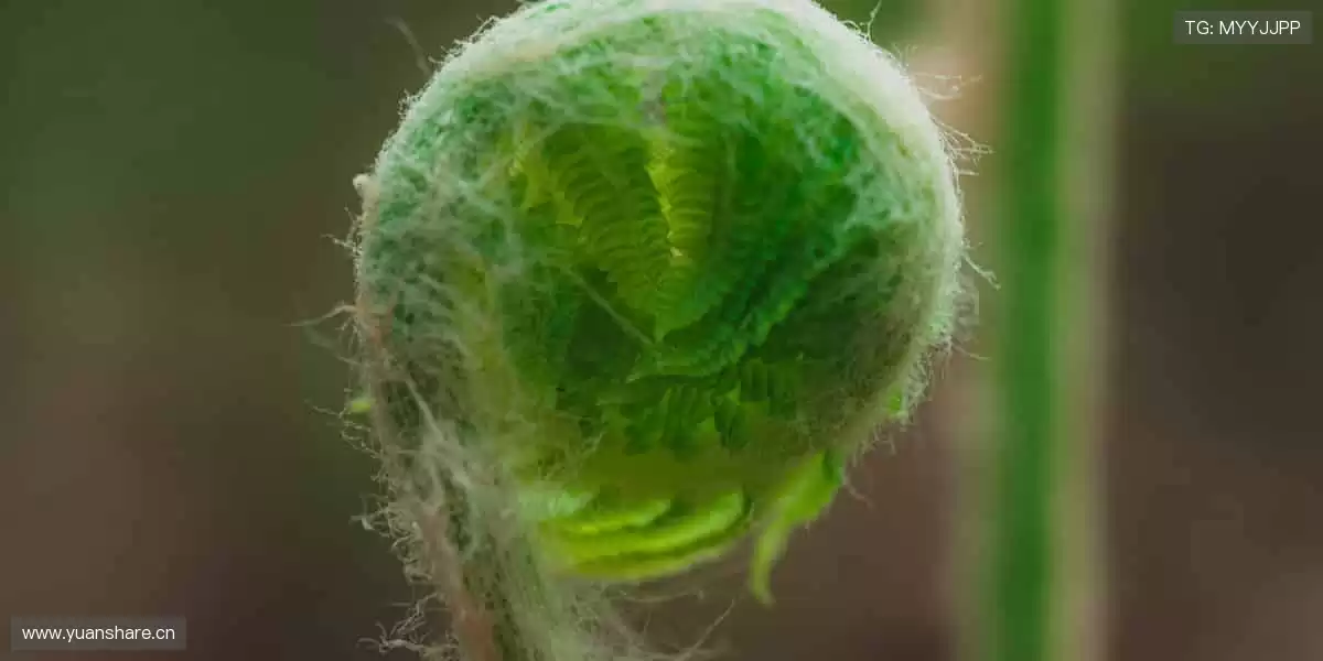 🎯专属装备,让热爱更有态度!👟